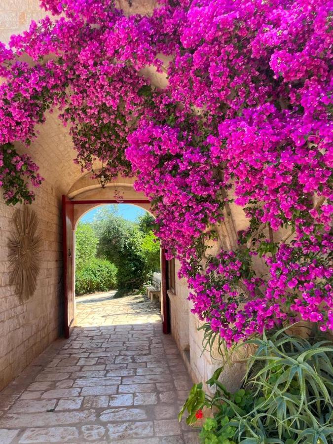 Masseria Morrone Ostuni Εξωτερικό φωτογραφία